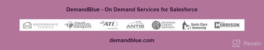 img 1 attached to DemandBlue - On Demand Services for Salesforce review by Mike Malvo