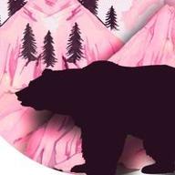 bear mountain designs logo