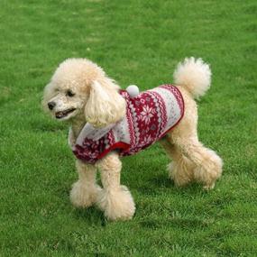 img 2 attached to 🐶 Beirui Cute Fleece Dog Jacket Pajamas Sweater - Christmas Dog Warm Coat Yorkie Soft Thermal Padded Vest - Warm Pet Jumpsuit Dog Accessories Hoodie,Red 10&#34; - Pet Winter Sweater, Red, Size 10 inches - Cozy Fleece Dog Pajamas for Christmas Festivities