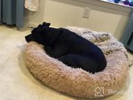 img 1 attached to Barkbox 2-In-1 Memory Foam Donut Bed For Dogs And Cats With Calming Orthopedic Joint Relief, Waterproof Lining, And Bonus Toy review by Jessica Williams