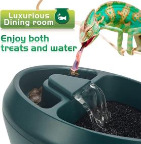 img 2 attached to 🦎 NEPTONION Reptile Chameleon Cantina: Snacks Trough + Drinking Fountain Water Dripper Combo for Amphibians, Insects, Lizards, Turtles, Snakes, Spiders, Frogs, Geckos - Includes Two Pumps (One for Replacement)