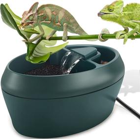 img 4 attached to 🦎 NEPTONION Reptile Chameleon Cantina: Snacks Trough + Drinking Fountain Water Dripper Combo for Amphibians, Insects, Lizards, Turtles, Snakes, Spiders, Frogs, Geckos - Includes Two Pumps (One for Replacement)