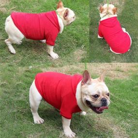 img 1 attached to QiCheng&LYS Small Dog Jacket and Sweater: The Ultimate Winter Hooded Jacket for Your Cute Puppy