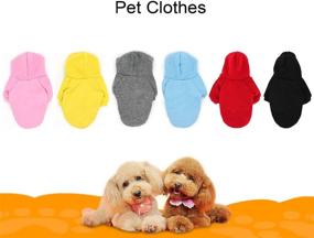 img 3 attached to QiCheng&LYS Small Dog Jacket and Sweater: The Ultimate Winter Hooded Jacket for Your Cute Puppy