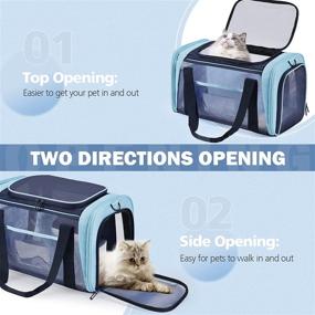 img 2 attached to 🐾 Ultralight Dog Carrier, Cat Carriers for Medium Cats Under 25 lbs, Portable Bunny Carrier, Collapsible Cat Carrier for Two Cats, Ideal Airline Approved Cat Travel Carrier - Blue