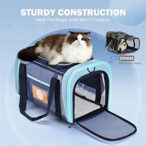 img 1 attached to 🐾 Ultralight Dog Carrier, Cat Carriers for Medium Cats Under 25 lbs, Portable Bunny Carrier, Collapsible Cat Carrier for Two Cats, Ideal Airline Approved Cat Travel Carrier - Blue
