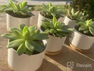 img 1 attached to Add A Touch Of Elegance To Your Garden With ZOUTOG Succulent Plant Pots - Set Of 4 Water Pattern Ceramic Pots With Bamboo Tray! review by Brendan Baker