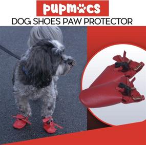 img 3 attached to Мокасины PupMocs Premium Stunningly Protectors