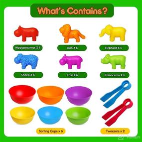 img 3 attached to 🐻 JOCHA Color Sorting and Counting Animals Toys: A Montessori Educational Game for 3-5-Year-Olds, Ideal for Preschool Learning, Matching, and Math Activities