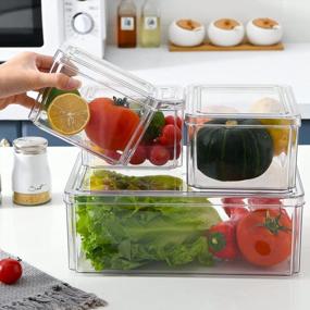 img 2 attached to 4-Pack Clear Fridge Organizer Bins With Lids For Food Storage - MDHAND Stackable And BPA-Free Refrigerator Organizer And Storage Containers