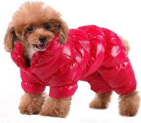 img 4 attached to Warm Winter Puppy Dog Coats for Small Dogs - PET ARTIST Fleece Padded Pet Clothes, Cute Apparel for Chihuahua, Poodles, French Bulldog, Pomeranian