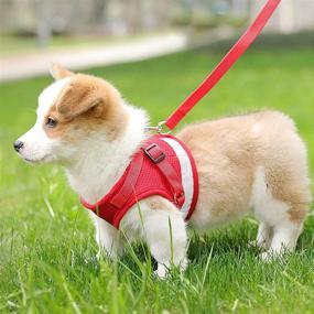 img 3 attached to 🐱 YujueShop Cat Harness and Leash Pet Vest Small Dog Harness Escape Proof Reflective Re-Adjustable Walking Soft Mesh with Pet Leash for Cats Puppies Pets, XS Size 21.8-30cm/8.6-11.8in, Red