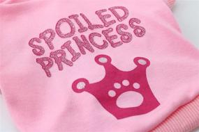 img 1 attached to 👑 DroolingDog Princess Crown Puppy Hoodie Pink T-Shirt for Small Dogs - Cute Sweatshirt for Girl Puppies