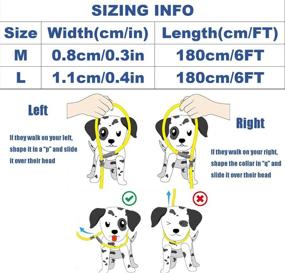 img 2 attached to 🐾 SGODA Nylon Slip Lead Dog Training Leash: Effective Solution for Controlled and Convenient Dog Training