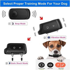 img 2 attached to 🐶 Rechargeable Waterproof Dog Training Collar with Remote - 1000Ft Control Range for (10-120lbs) Dogs - Beep, Vibration, and Shock Modes Included