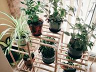 img 1 attached to Get Organized With A Multifunctional Plant Stand For Indoor And Outdoor Décor - Perfect For Every Room In Your Home! review by Jean Donjuan