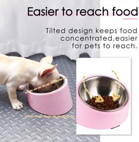 img 3 attached to Non-Spill 15° Slanted Pet Bowl For Dogs And Cats - Tilted Angle Bulldog Bowl Feeder With Non-Skid Base, Mess-Free And Easier To Reach Food, M Size (1.5 Cup), Light Pink Color