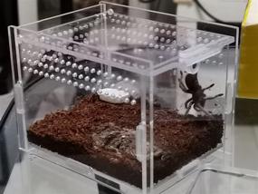 img 1 attached to Magnetic 3 5X3 5X3 7Inch Transparent Tarantula Enclosure