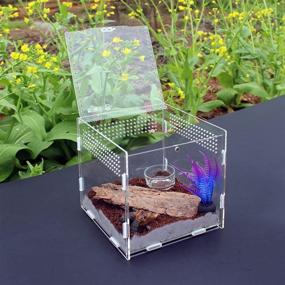 img 2 attached to Magnetic 3 5X3 5X3 7Inch Transparent Tarantula Enclosure