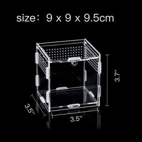 img 3 attached to Magnetic 3 5X3 5X3 7Inch Transparent Tarantula Enclosure