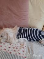 img 1 attached to Dog Surgery Recovery Suit Onesie With Long Sleeve - Stop Licking Wound, Soft Anxiety Relief Jacket After Surgery Wear E Collar Alternative For Dogs By LIANZIMAU review by Joe Murphy