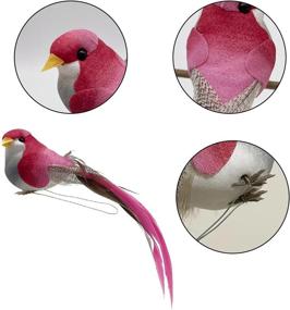 img 2 attached to Colorful Assorted Foam Birds - Set Of 12 Artificial Feathered Birds For Christmas, Home Decor & Weddings - 4.72In With Realistic Claws - Perfect For Embellishing Gardens And Crafts
