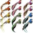 colorful assorted foam birds - set of 12 artificial feathered birds for christmas, home decor & weddings - 4.72in with realistic claws - perfect for embellishing gardens and crafts logo