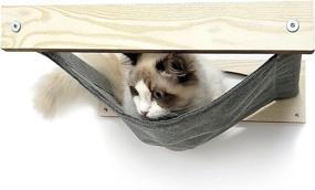 img 2 attached to 🐱 Kitten Stud Mounted Cat Hammock with Floating Climbing Stairs - Ultimate Combo for Lounging, Napping, Sleeping, Playing, Climbing, and Jumping