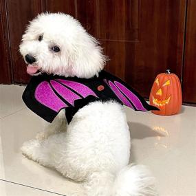 img 1 attached to 🎃 Azuza Halloween Dog Costume Cat Dogs Bat Wings with LED Pumpkin - Funny Apparel Cosplay Decoration; Available in 3 Sizes for Cats, Small, Medium, and Large Dogs