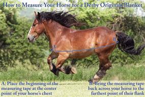 img 1 attached to 🐴 Stay Visible and Warm: Derby Originals Reflective Safety No Hardware Winter Stable Blanket for Foals & Mini Horses, Water Resistant and Breathable with 150g Polyfil