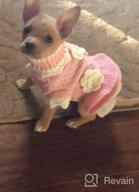 картинка 1 прикреплена к отзыву Joytale Small Dog Sweater Turtleneck Dress: Stylish Winter Cable Knitwear for Cats, Puppies, and Small Dogs от Scott Hall