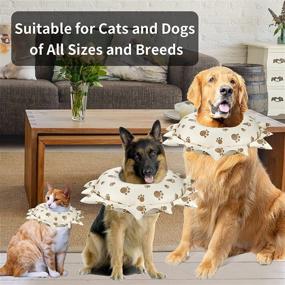 img 2 attached to Essential Pet Recovery Collar: Inflatable and Soft Cone for Dogs and Cats, Safeguarding Pets from Stitches, Wounds, and Rashes