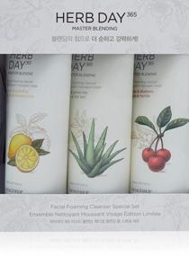 img 3 attached to The Face Shop Herb Day 365 Master Blending Cleansing Foam Set - Revitalize & Refresh With Lemon & Grapefruit, Aloe & Green Tea, Acerola & Blueberry Extracts, 17.1 Fl Oz