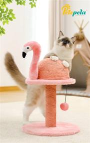 img 2 attached to PETEPELA Cat Scratching Post: Interactive Toy Ball & Extra Replacement Pole Included - Natural Sisal Scratcher for Kittens and Small Cats