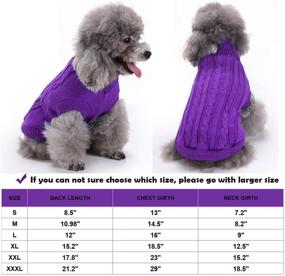 img 3 attached to SunteeLong Turtleneck Knitted Sweater Sweaters Dogs ... Apparel & Accessories