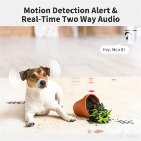img 1 attached to 2K Pet Camera with Phone APP: Indoor Security Camera, Baby Monitor WiFi Home Camera with 2-Way Audio, Motion Detection, Night Vision, Cloud & SD Card Storage – Compatible with Alexa