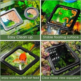 img 3 attached to 🐠 DS. DISTINCTIVE STYLE Fish Feeding Ring: 2-Piece Aquarium & Tank Floating Food Feeders with Suction Cup