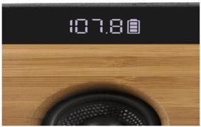 img 1 attached to 🎶 SVEN HA-930 Portable Acoustics - 30W Bamboo Power