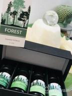 img 1 attached to Premium Woodsy Essential Oils Gift Set From ESSLUX Forest Collection For Diffuser, Home Fragrance, And Soap Candle Making - High-Quality Essential Oils Blend review by Jennifer Johnson