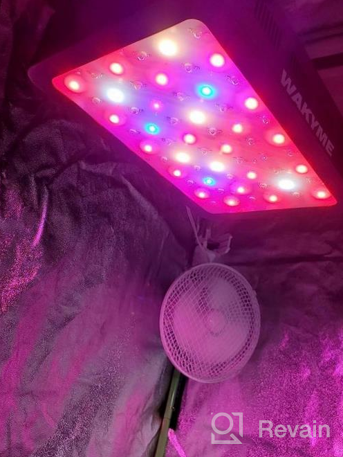 img 1 attached to WAKYME J-1000W LED Grow Light Waterproof 2X4Ft Dimmable Sunlike Full Spectrum Grow Lamp Plant Light With Fan For Hydroponic Indoor Seedling Veg And Flower Greenhouse Growing Light With 350Pcs LEDs review by Alexandra Griego