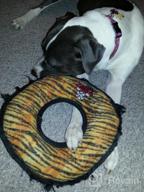 img 1 attached to TUFFY'S MEGA Ring: The Ultimate Durable Dog Toy For Interactive Play - Strong, Tough, And Machine Washable review by Sam Carter