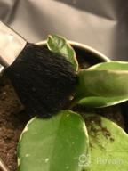 картинка 1 прикреплена к отзыву BlueMake 15pcs Miniature Succulent Tools Set for Indoor Fairy Gardens & Plant Care от Tim Thuss