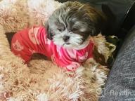 img 1 attached to Cute And Cozy: Red Striped Dog Hoodie With Hat By CuteBone DH01S review by Brad Davis