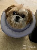 img 1 attached to Comfortable And Water-Resistant Pet Recovery Collar: Adjustable Neck Donut E-Collar For Small And Medium Dogs And Cats After Surgery In Navy (Size S) review by Travis Karren