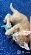 img 1 attached to Keep Your Feline Friend Engaged: Potaroma Smart Interactive Kitten Toy With 3-In-1 Features! review by Debbie Rossi