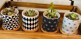 img 5 attached to Stylish And Functional: DeeCoo 3 Inch Ceramic Succulent Planter Pots With Drainage And Tray - Set Of 4 For Mini Flowers, Cactus, Herbs And Indoor Plants