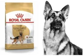 img 1 attached to Dry dog ​​food Royal Canin German Shepherd 1 pack. x 1 pc. x 11 kg (for large breeds)