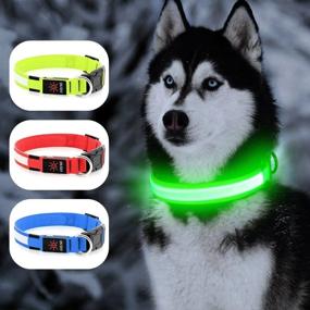 img 2 attached to 🐕 YFbrite USB Rechargeable LED Dog Collar - Adjustable & Waterproof Light-Up Collar - Flashing Dog Collar for Visibility & Safety in the Dark