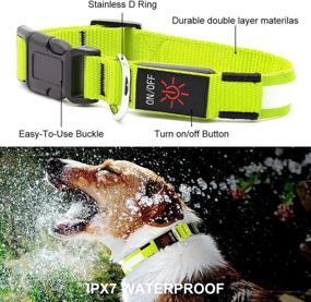 img 3 attached to 🐕 YFbrite USB Rechargeable LED Dog Collar - Adjustable & Waterproof Light-Up Collar - Flashing Dog Collar for Visibility & Safety in the Dark