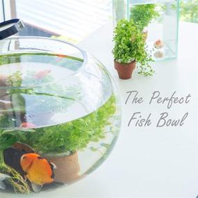 img 1 attached to CYS EXCEL Multiple Terrarium Centerpiece Fish & Aquatic Pets